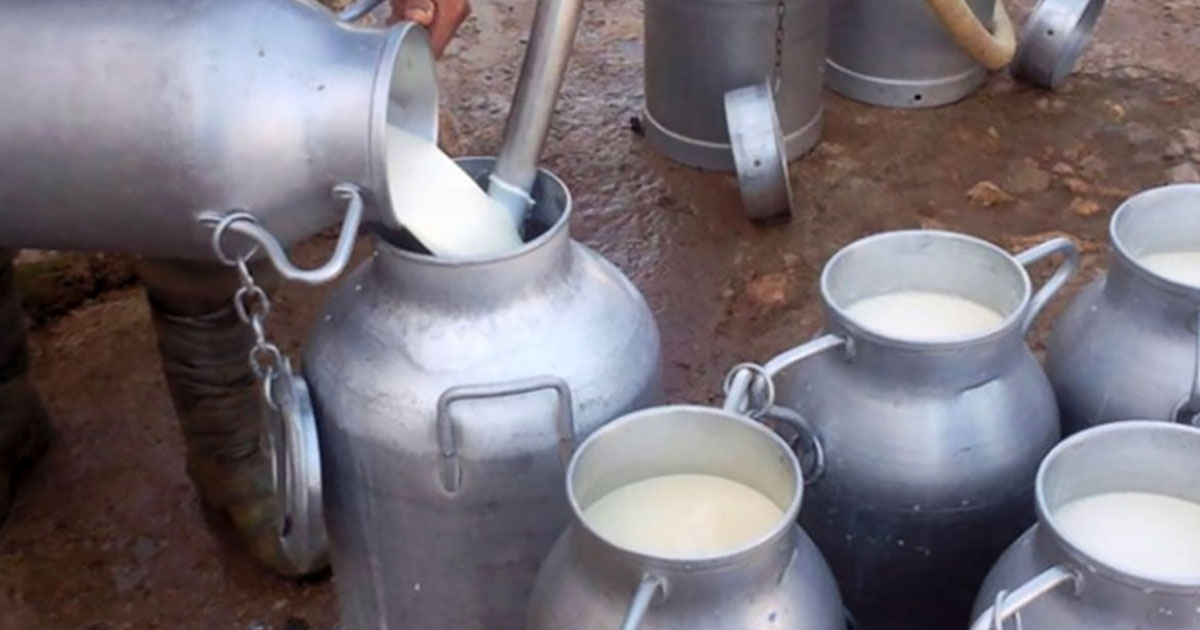 اتحاد الفلاحين رمى الكرة في مرمى الحكومة..   أزمة الحليب متواصلة لمدة 90 يوما .. !